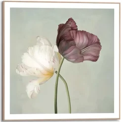 Schilderij Tulips - 50 x 50cm - Groen