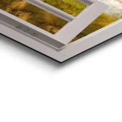 Schilderij Zonnestralen in het bos - 60 x 90cm - Groen