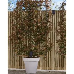 Solar Intelligent Security Prikspot - Rosario