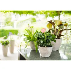 Ter Steege Bloempot/plantenpot - buiten - beige/goud - D13/H12 cm