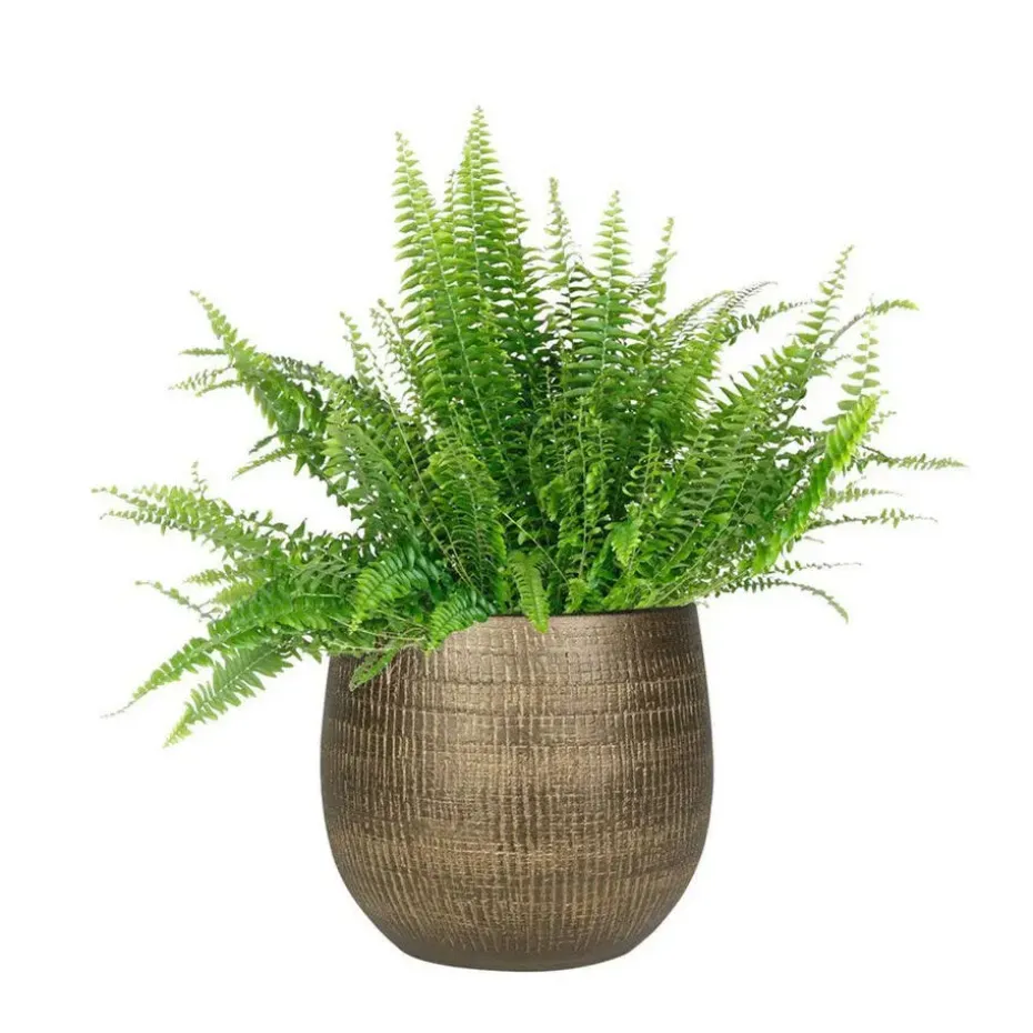 Ter Steege Plantenpot - metal look - goudkleurig - 26 x 25 cm