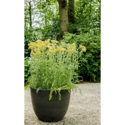 Ter Steege Plantenpot - zwart - kunststof - 28 x 24 cm