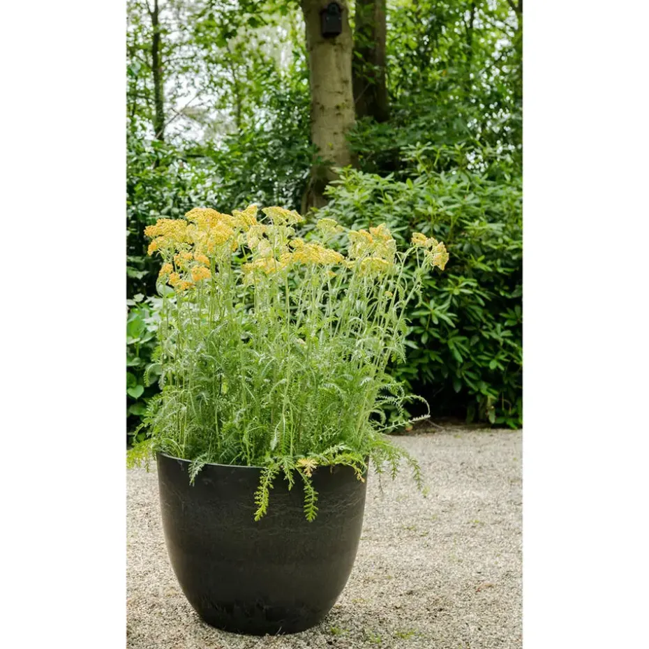 Ter Steege Plantenpot - zwart - kunststof - 45 x 38 cm