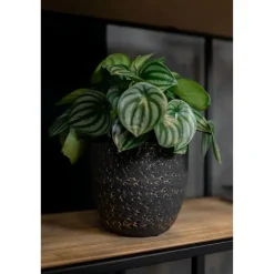 Ter Steege Plantenpot/Bloempot Lava Stone - zwart - D15 x H13 cm