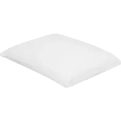 TRIGLAV - Hoofdkussen set van 2 - Wit - 50 x 60 cm - Laag - Polyester