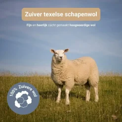 Troonz Dekbed Texelse Scheerwol - 4 Seizoenen