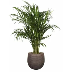 TS Collection plantenpot - Lydia - paars - 20 x 22 cm - keramiek