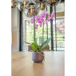 TS Collection plantenpot - Lydia - paars - 20 x 22 cm - keramiek