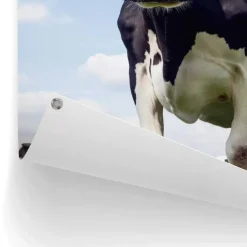 Tuinposter Dutch Cow - 80 x 60cm - Groen