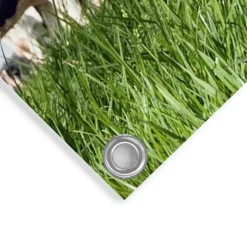 Tuinposter Dutch Cow - 80 x 60cm - Groen