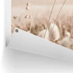 Tuinposter Grasses - 80 x 60cm - Beige