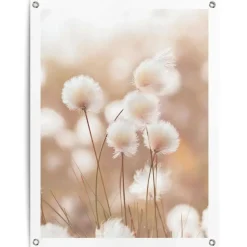 Tuinposter Katoentak - 80 x 60cm - Beige