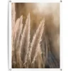 Tuinposter Pampas - 80 x 60cm - Beige