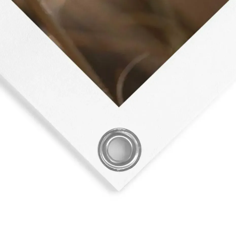 Tuinposter Pampas - 80 x 60cm - Beige