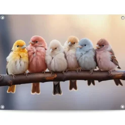 Tuinposter Pastel Birds - 60 x 80cm - Bont