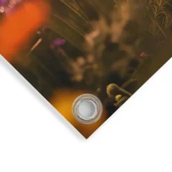 Tuinposter Spring Highlander - 60 x 80cm - Beige