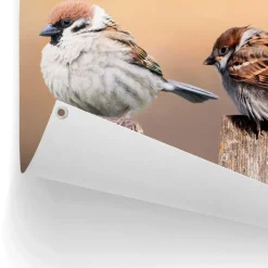 Tuinposter Vogels - 60 x 80cm - Beige