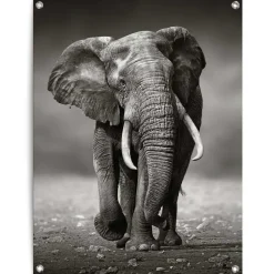 Tuinposter Wandelende olifant - 80 x 60cm - Zwart