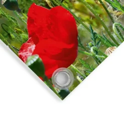 Tuinposter Zomerbloemen - 60 x 80cm - Rood