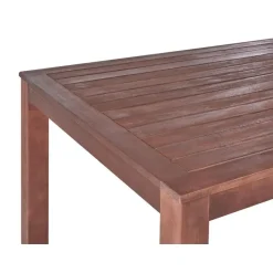 TUSCANIA - Tuintafel - Donkerhout - 100 x 180 cm - Eucalyptushout