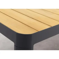 Vdgarde Premium - General tuintafel 220x100cm.