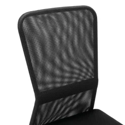 vidaXL - Bureaustoel - Zwart - Gaas