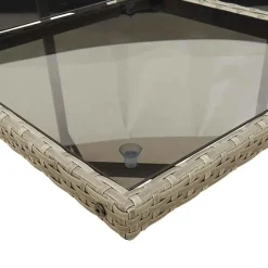 vidaXL - 5-delige Tuinset donkergrijs kussens - Grijs PE rattan - 110x106 cm