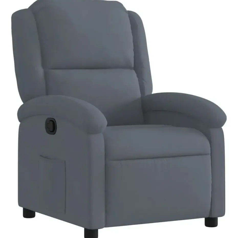 vidaXL - Fauteuil - Grijs - Fluweel