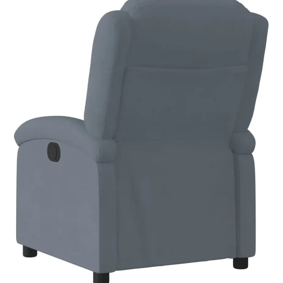 vidaXL - Fauteuil - Grijs - Fluweel