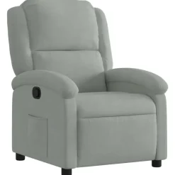 vidaXL - Fauteuil - Grijs - Fluweel