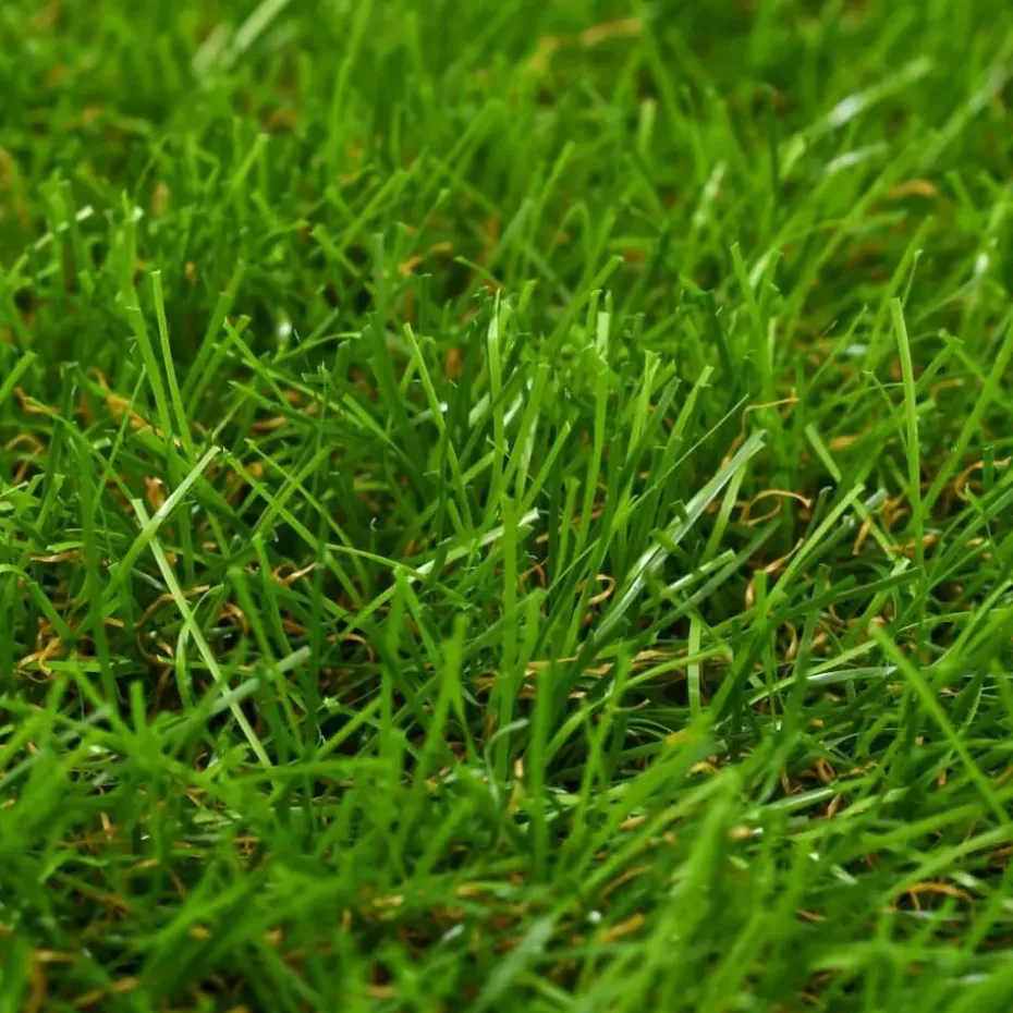 vidaXL - Kunstgras - Groen - Polypropyleen - 1 x 2 m