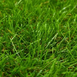 vidaXL - Kunstgras - Groen - Polypropyleen - 1 x 15 m