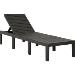 vidaXL - Ligstoel - Antraciet - Kunststof