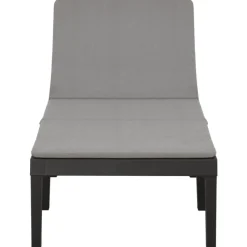 vidaXL - Ligstoel - Antraciet - Kunststof