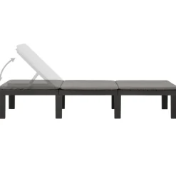 vidaXL - Ligstoel - Antraciet - Kunststof