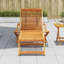 vidaXL - Ligstoel - Bruin - Hout