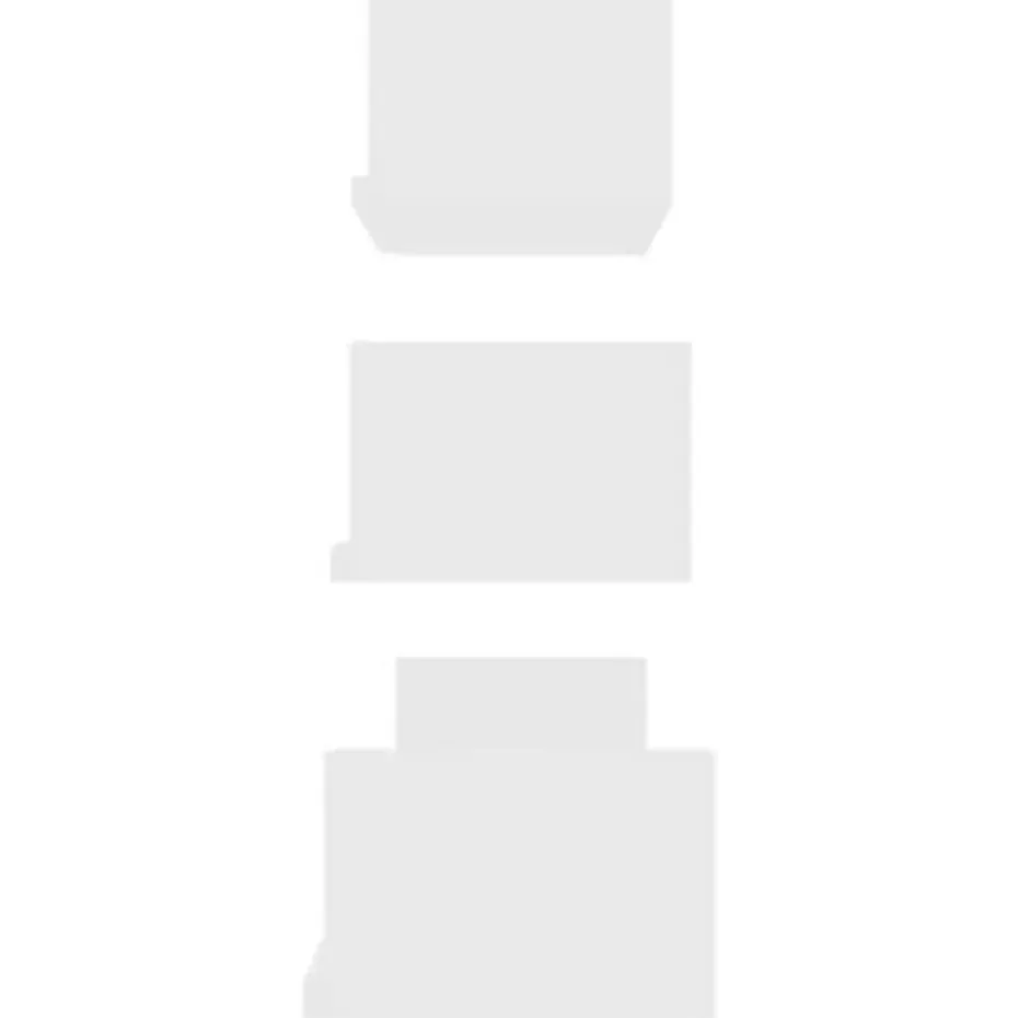 vidaXL - Plank - Wit - Bewerkt hout - 60 x 15 x 10 cm - 3 stuks