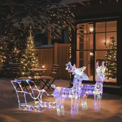 vidaXL - Rendieren En Slee Kerstversiering - Multikleur