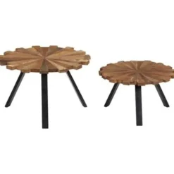 vidaXL - Salontafel - Bruin - Hout