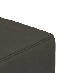 vidaXL - Slaapbank 2-zits - Donkergrijs - Fluweel - Met kussens