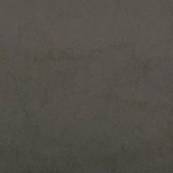 vidaXL - Slaapbank 2-zits - Donkergrijs - Fluweel - Met kussens