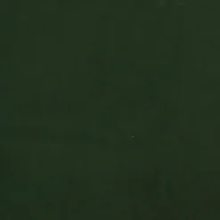 vidaXL - Slaapbank 2-zits - Donkergroen - Fluweel