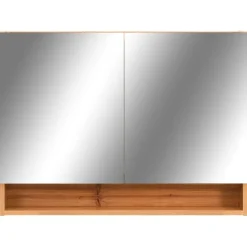 vidaXL - Spiegelkast - Bruin - MDF