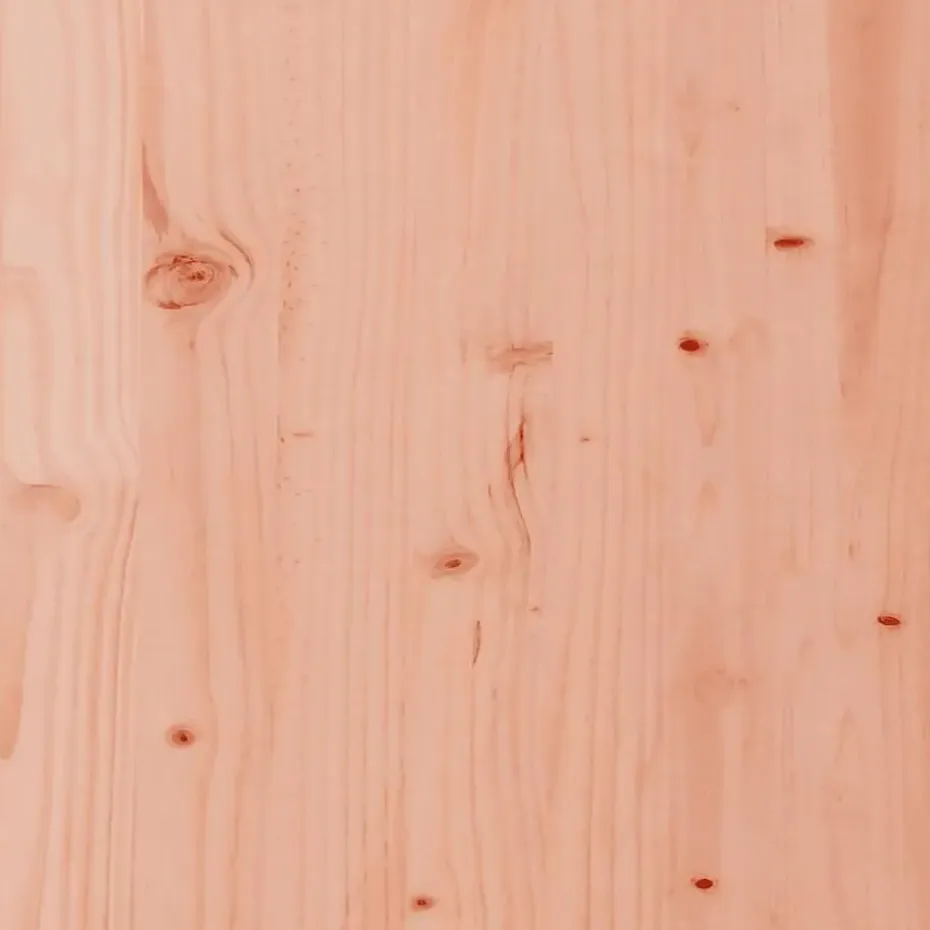 vidaXL - Tuinbanken zonder armleuningen - Bruin - Hout - 2 stuks - Met kussens