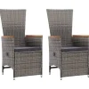 vidaXL - Tuinstoel - Grijs - Poly rattan - 2 stuks