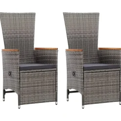 vidaXL - Tuinstoel - Grijs - Poly rattan - 2 stuks