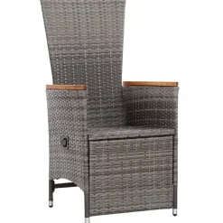 vidaXL - Tuinstoel - Grijs - Poly rattan - 2 stuks