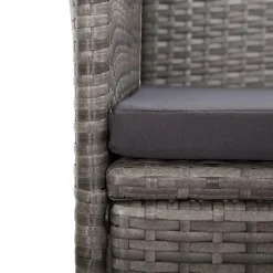 vidaXL - Tuinstoel - Grijs - Poly rattan - 2 stuks