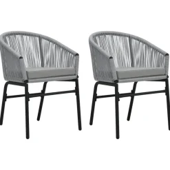 vidaXL - Tuinstoelen - Grijs - Polyetheen - 2 stuks