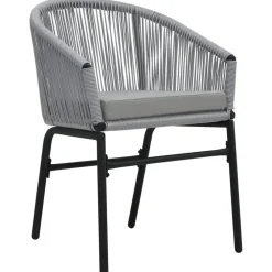 vidaXL - Tuinstoelen - Grijs - Polyetheen - 2 stuks